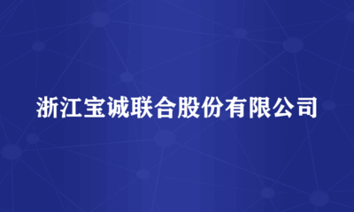 浙江寶誠(chéng)聯(lián)合股份的票務(wù)代理服務(wù) 專業(yè)、高效、全方位的出行解決方案